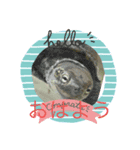 うさぎとカメ1（個別スタンプ：5）