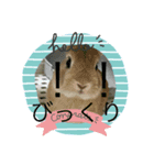 うさぎとカメ1（個別スタンプ：6）