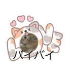 うさぎとカメ1（個別スタンプ：8）