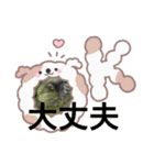 うさぎとカメ1（個別スタンプ：9）