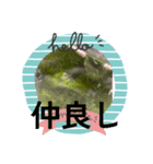 うさぎとカメ1（個別スタンプ：10）