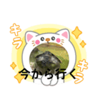 うさぎとカメ1（個別スタンプ：11）