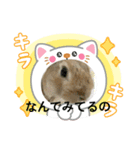 うさぎとカメ1（個別スタンプ：16）