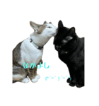 みーちゃん·͜·ᰔᩚ（個別スタンプ：1）