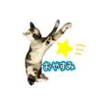 みーちゃん·͜·ᰔᩚ（個別スタンプ：12）