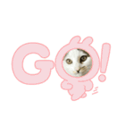 みーちゃん·͜·ᰔᩚ（個別スタンプ：13）
