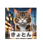 もふもふ表情ネコ（個別スタンプ：3）