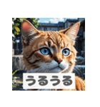 もふもふ表情ネコ（個別スタンプ：11）