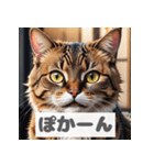もふもふ表情ネコ（個別スタンプ：14）