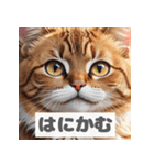 もふもふ表情ネコ（個別スタンプ：23）