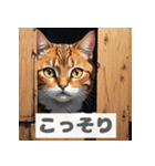 もふもふ表情ネコ（個別スタンプ：24）