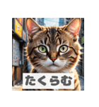 もふもふ表情ネコ（個別スタンプ：31）