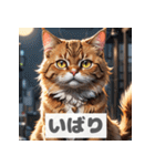 もふもふ表情ネコ（個別スタンプ：36）