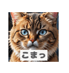 もふもふ表情ネコ（個別スタンプ：39）
