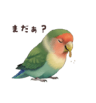 コザクラインコ【毎日使える】（個別スタンプ：7）