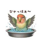 コザクラインコ【毎日使える】（個別スタンプ：14）