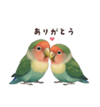 コザクラインコ【毎日使える】（個別スタンプ：18）
