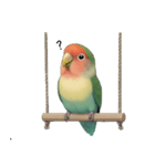 コザクラインコ【毎日使える】（個別スタンプ：22）