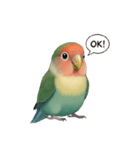 コザクラインコ【毎日使える】（個別スタンプ：23）