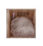 日常のごう（個別スタンプ：4）