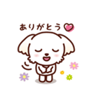 マルチーズ_今の思い（個別スタンプ：5）