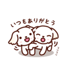 マルチーズ_今の思い（個別スタンプ：6）