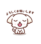 マルチーズ_今の思い（個別スタンプ：8）