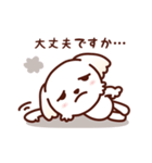 マルチーズ_今の思い（個別スタンプ：9）