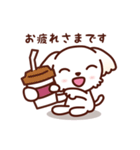 マルチーズ_今の思い（個別スタンプ：10）