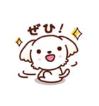 マルチーズ_今の思い（個別スタンプ：12）
