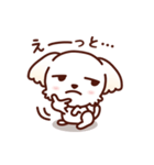 マルチーズ_今の思い（個別スタンプ：13）