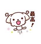 マルチーズ_今の思い（個別スタンプ：18）