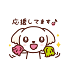 マルチーズ_今の思い（個別スタンプ：19）