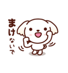 マルチーズ_今の思い（個別スタンプ：22）