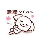 マルチーズ_今の思い（個別スタンプ：23）