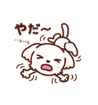 マルチーズ_今の思い（個別スタンプ：25）