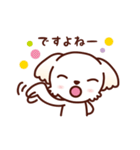マルチーズ_今の思い（個別スタンプ：27）
