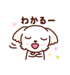 マルチーズ_今の思い（個別スタンプ：28）