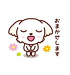 マルチーズ_今の思い（個別スタンプ：30）