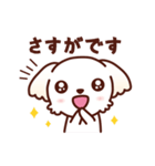 マルチーズ_今の思い（個別スタンプ：31）