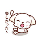 マルチーズ_今の思い（個別スタンプ：33）