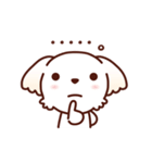 マルチーズ_今の思い（個別スタンプ：38）