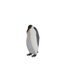ケイジペンギン（個別スタンプ：2）