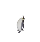ケイジペンギン（個別スタンプ：6）