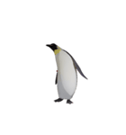 ケイジペンギン（個別スタンプ：7）