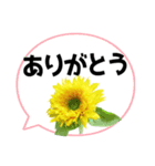 *花* ひまわり＆吹き出し Colorful（個別スタンプ：1）