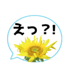 *花* ひまわり＆吹き出し Colorful（個別スタンプ：4）