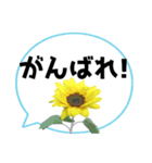 *花* ひまわり＆吹き出し Colorful（個別スタンプ：8）