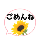 *花* ひまわり＆吹き出し Colorful（個別スタンプ：9）