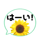 *花* ひまわり＆吹き出し Colorful（個別スタンプ：12）
